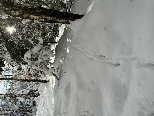 IMG_6950.JPG